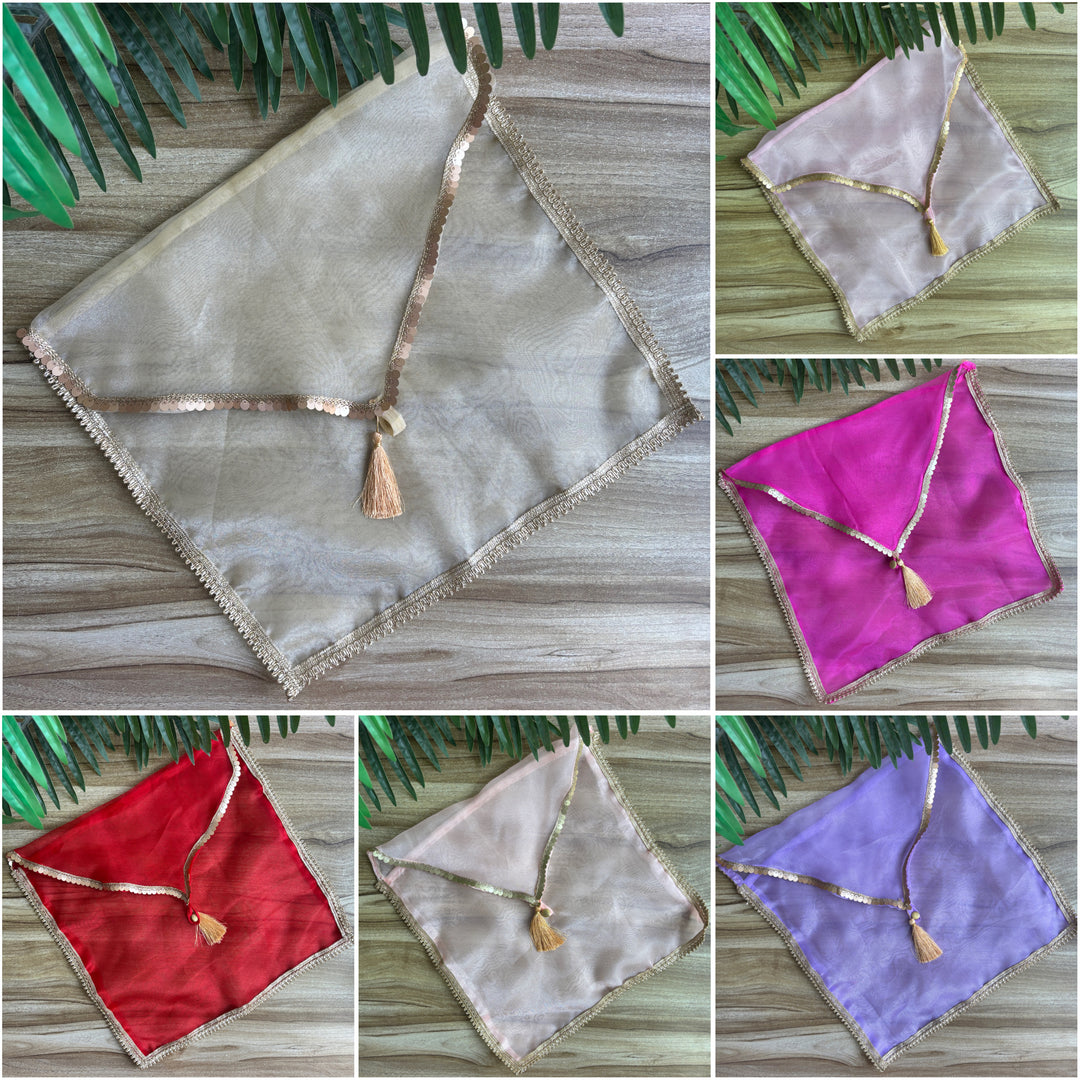 Organza Shine Dress Organisers