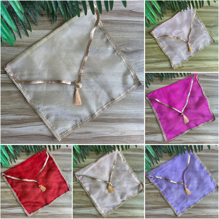 Organza Shine Dress Organisers