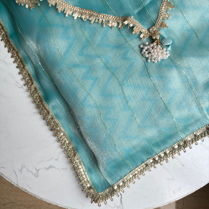 Shimmery Sequin Dress Organisers