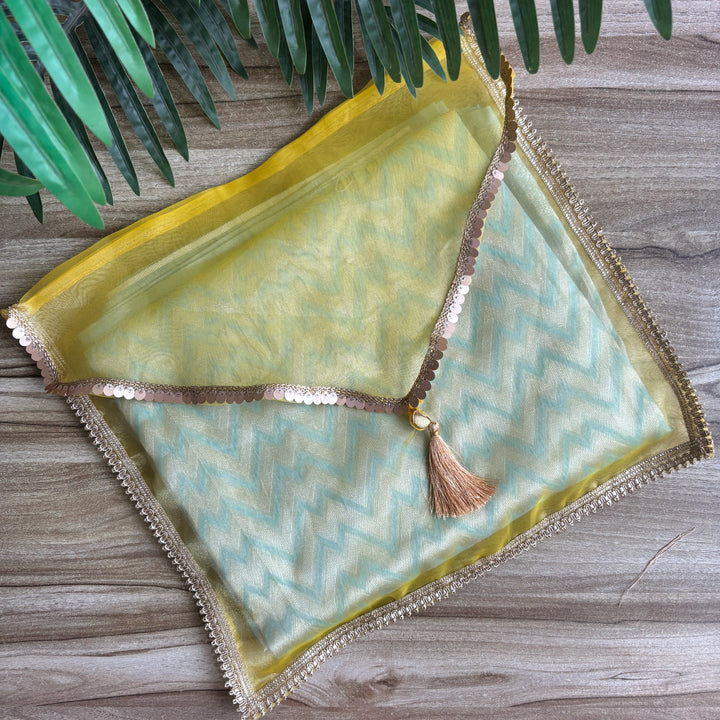 Organza Shine Dress Organisers