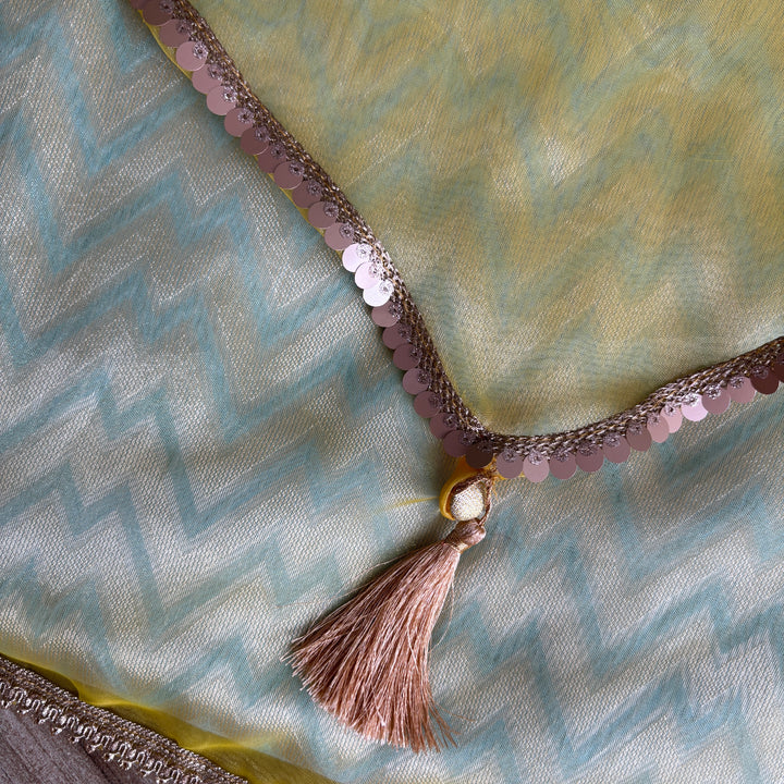 Organza Shine Dress Organisers