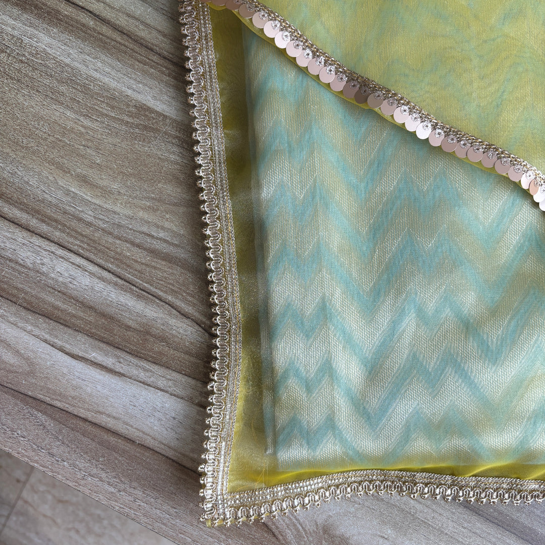 Organza Shine Dress Organisers